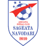 Sageata Navodari