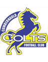 Cumbernauld Colts