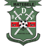 BDF XI