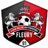 Fleury 91 W
