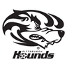 Pittsburgh Riverhounds