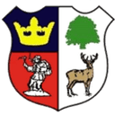 Cinderford Town