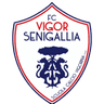 Vigor Senigallia