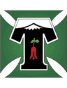 Deportes Temuco
