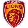 Bulleen Lions