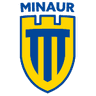 FCM Baia Mare