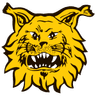 Ilves U20