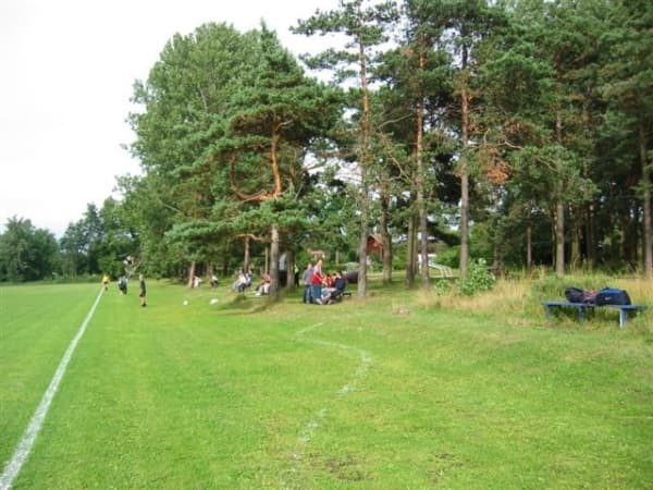 Stadions Arkādija grass